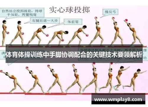 体育体操训练中手脚协调配合的关键技术要领解析
